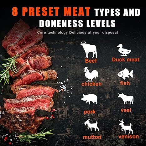 SoulB Wireless Meat Probe 1 pack