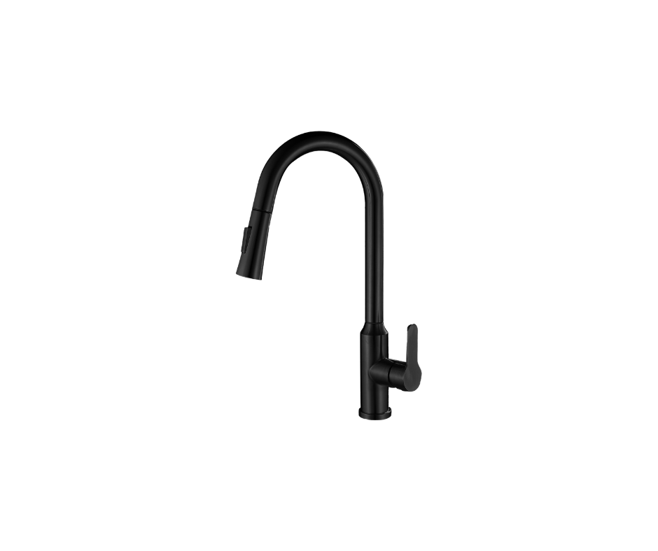 Matte Black Faucet